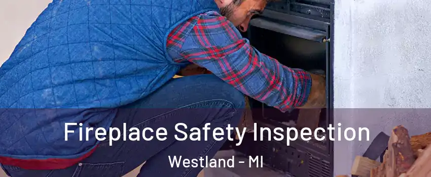  Fireplace Safety Inspection Westland - MI
