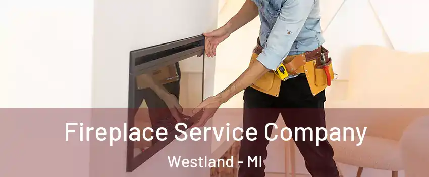  Fireplace Service Company Westland - MI