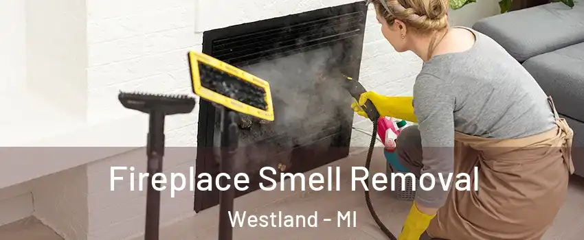 Fireplace Smell Removal Westland - MI