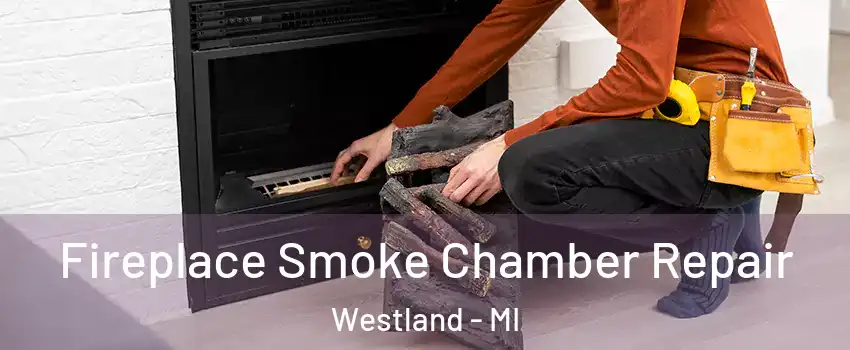  Fireplace Smoke Chamber Repair Westland - MI