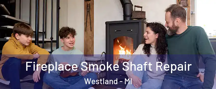 Fireplace Smoke Shaft Repair Westland - MI
