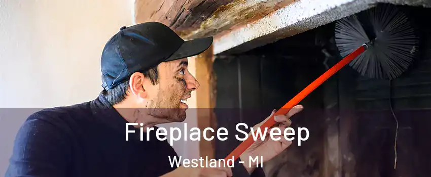  Fireplace Sweep Westland - MI