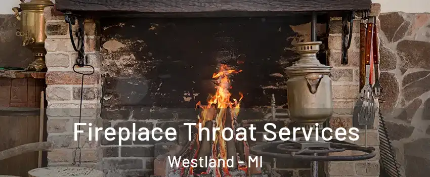  Fireplace Throat Services Westland - MI