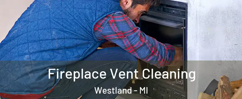  Fireplace Vent Cleaning Westland - MI