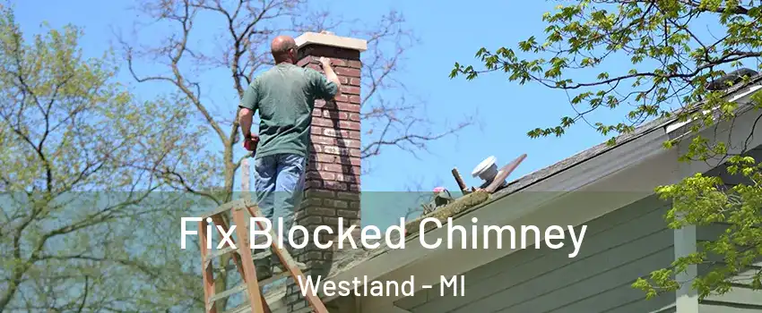 Fix Blocked Chimney Westland - MI