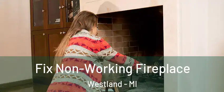  Fix Non-Working Fireplace Westland - MI