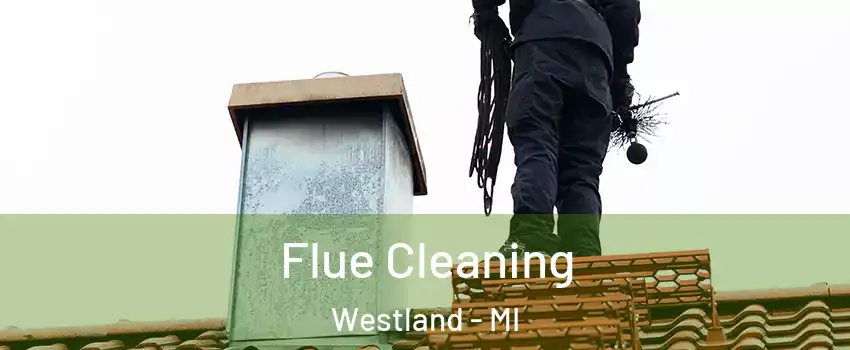  Flue Cleaning Westland - MI