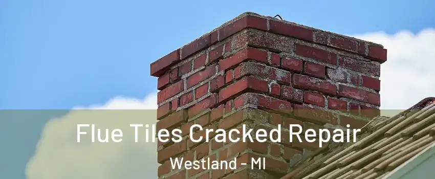  Flue Tiles Cracked Repair Westland - MI