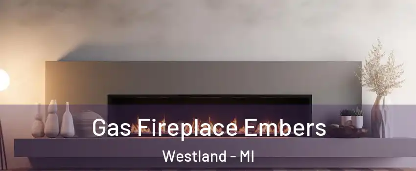  Gas Fireplace Embers Westland - MI