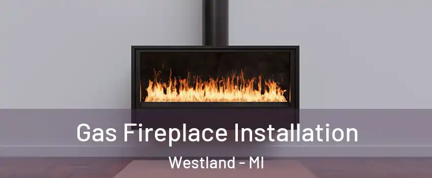  Gas Fireplace Installation Westland - MI