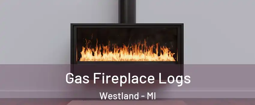  Gas Fireplace Logs Westland - MI