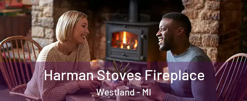 Harman Stoves Fireplace Westland - MI