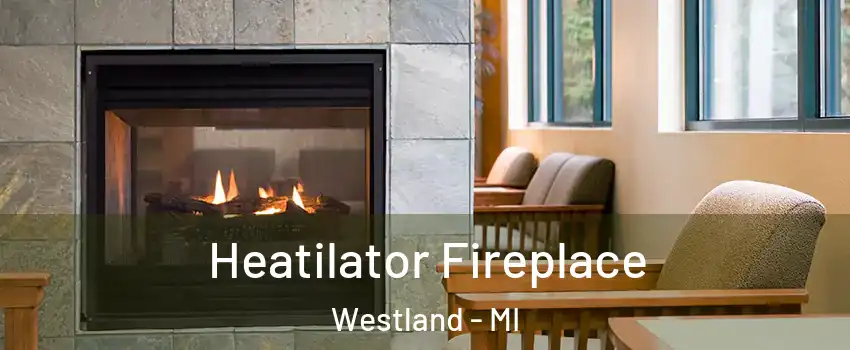  Heatilator Fireplace Westland - MI
