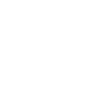 Professional Chimney Flue Installation in Westland, Michigan