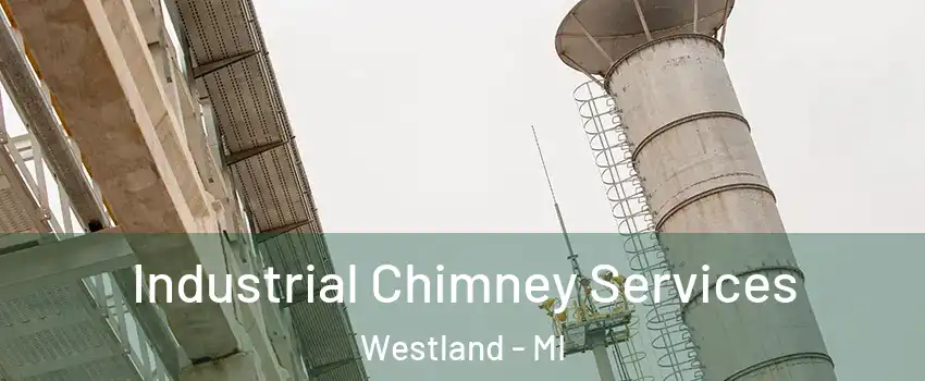  Industrial Chimney Services Westland - MI