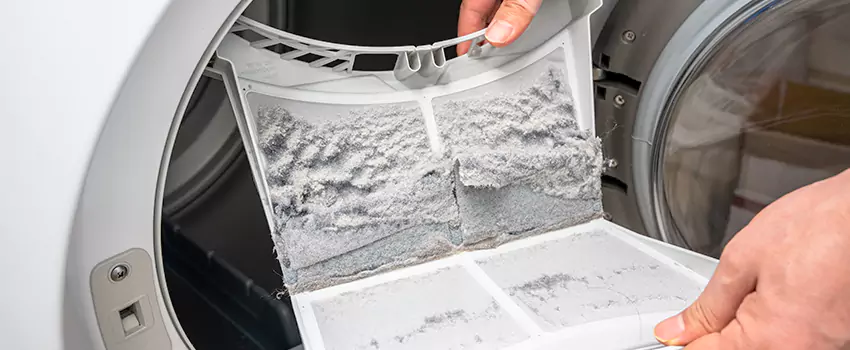 Best Dryer Lint Removal Company in Westland, Michigan