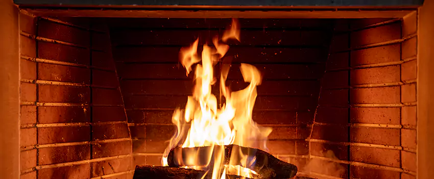Soot Cleanup Services in Westland, MI