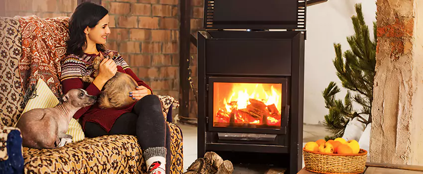 Wood Stove Chimney Cleaning Services in Westland, MI