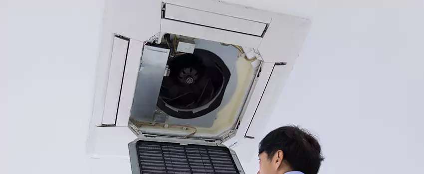Benefits of Professional Air Duct Cleaning in Westland, Michigan