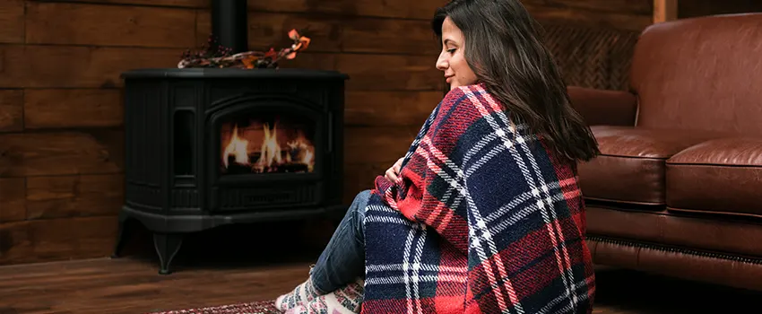 Fireplace Firebox Grate Replacement Services  in Westland, Michigan