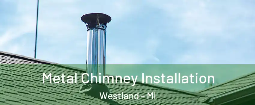  Metal Chimney Installation Westland - MI