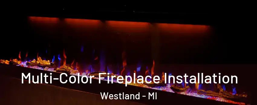  Multi-Color Fireplace Installation Westland - MI