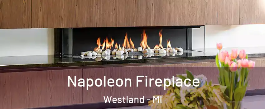 Napoleon Fireplace Westland - MI