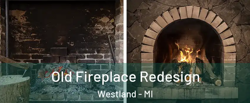  Old Fireplace Redesign Westland - MI