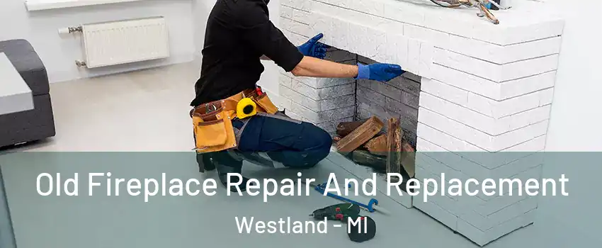  Old Fireplace Repair And Replacement Westland - MI