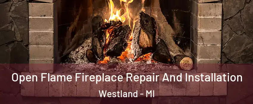  Open Flame Fireplace Repair And Installation Westland - MI
