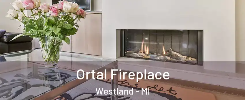  Ortal Fireplace Westland - MI