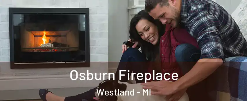  Osburn Fireplace Westland - MI
