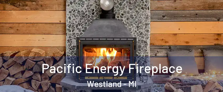  Pacific Energy Fireplace Westland - MI