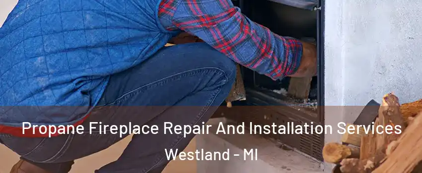  Propane Fireplace Repair And Installation Services Westland - MI