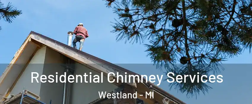  Residential Chimney Services Westland - MI