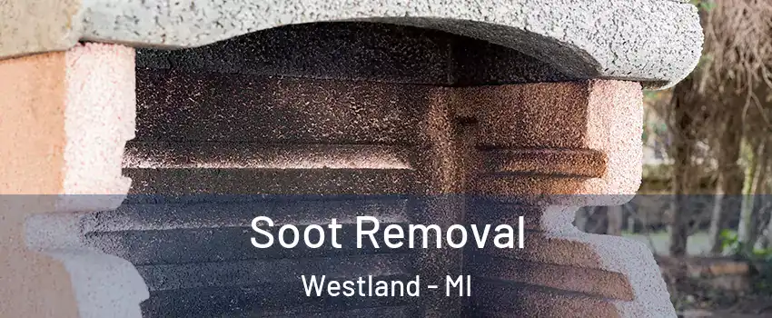  Soot Removal Westland - MI