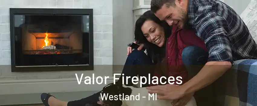  Valor Fireplaces Westland - MI