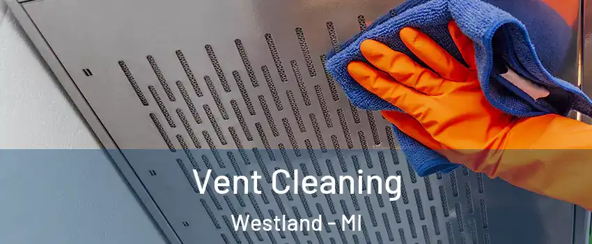  Vent Cleaning Westland - MI