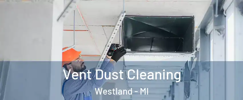  Vent Dust Cleaning Westland - MI