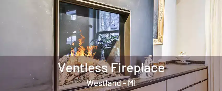  Ventless Fireplace Westland - MI