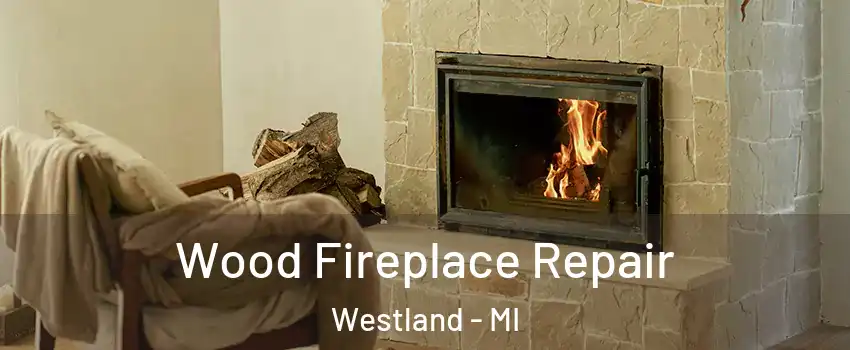  Wood Fireplace Repair Westland - MI