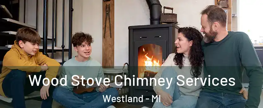  Wood Stove Chimney Services Westland - MI