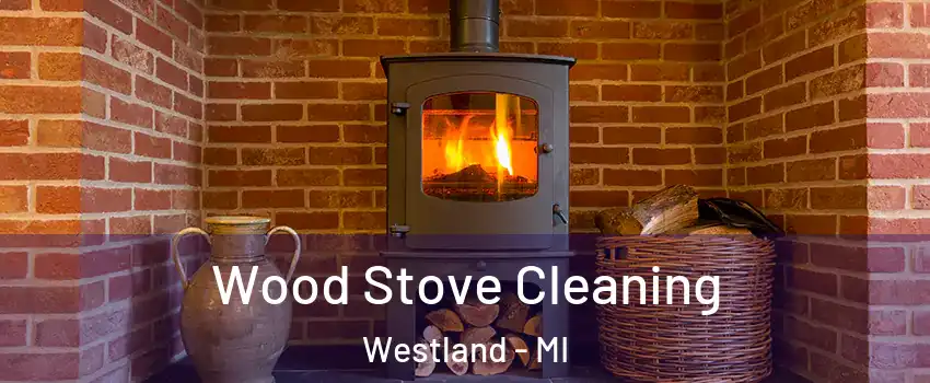  Wood Stove Cleaning Westland - MI