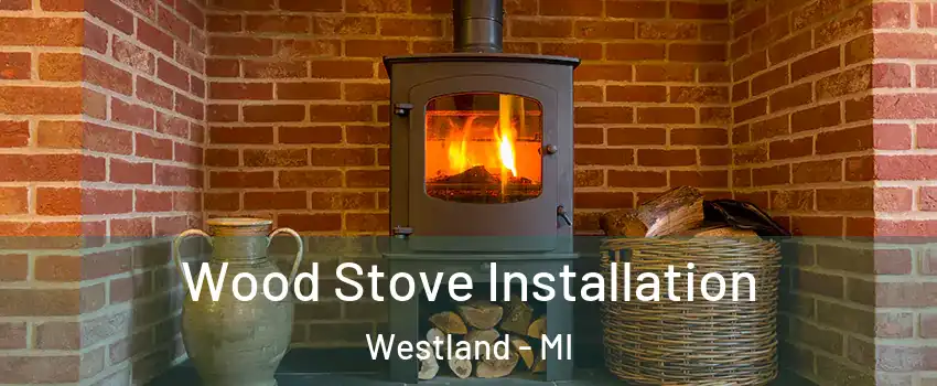  Wood Stove Installation Westland - MI