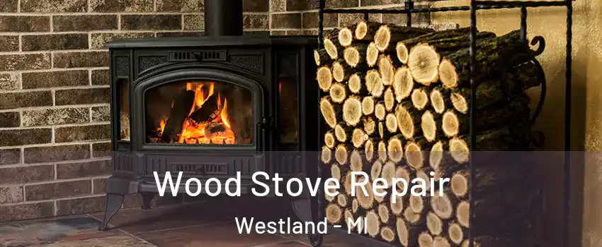  Wood Stove Repair Westland - MI